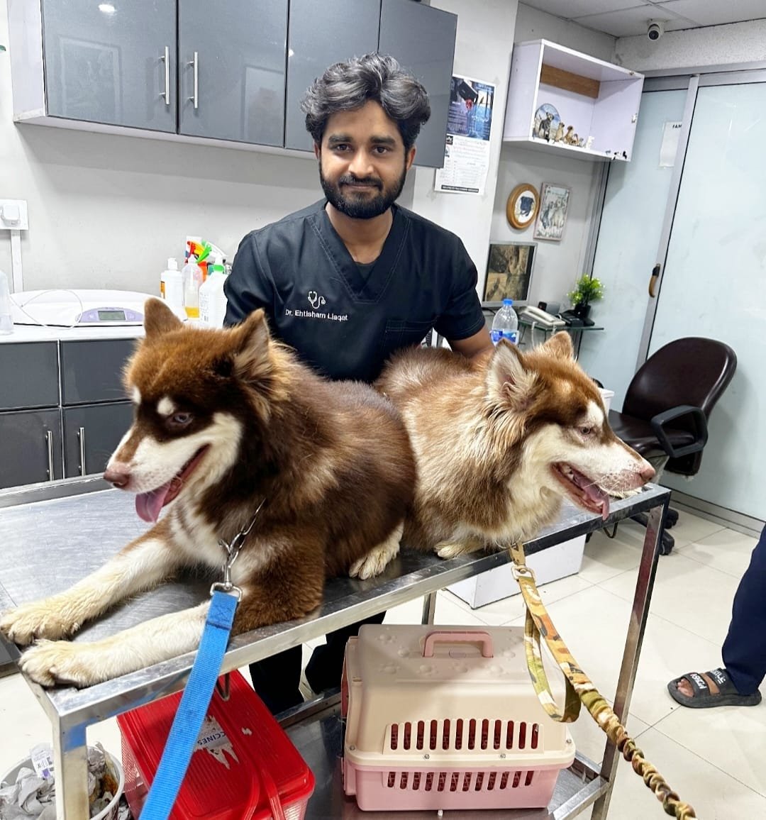 Family Pet Clinic Islamabad